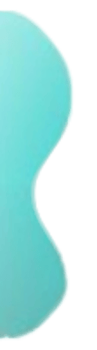 Left decorative blob